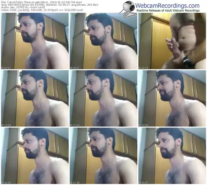 cam4-gato28cm_-webcam-show-01_02_2016-04_17_04