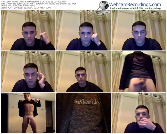 cam4-mrhungmodel-webcam-show-01_11_2016-21_40_33