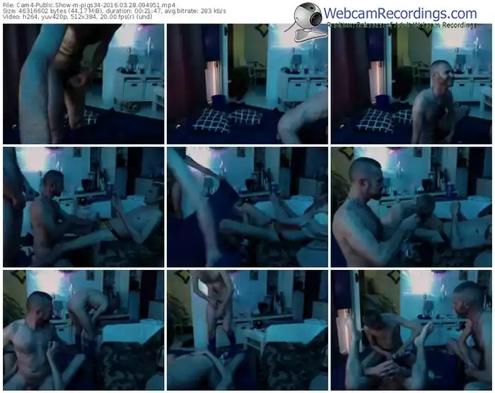 cam4-pigs34-webcam-show-03_28_2016-09_49_51