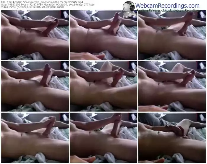 cam4-robo_monsoon-webcam-show-05_06_2016-02_19_45