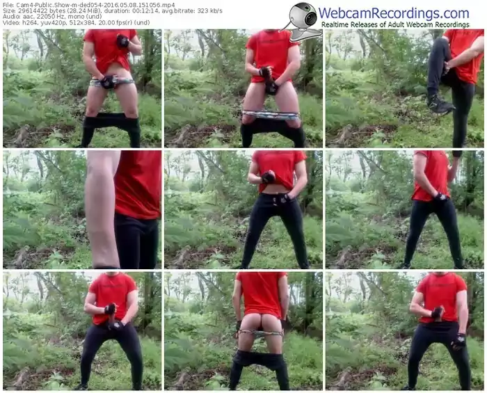 cam4-ded054-webcam-show-05_08_2016-15_10_56