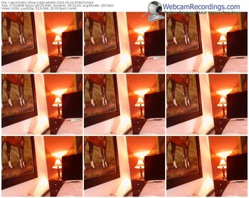 cam4-gaticahotts-webcam-show-05_20_2016-00_49_16