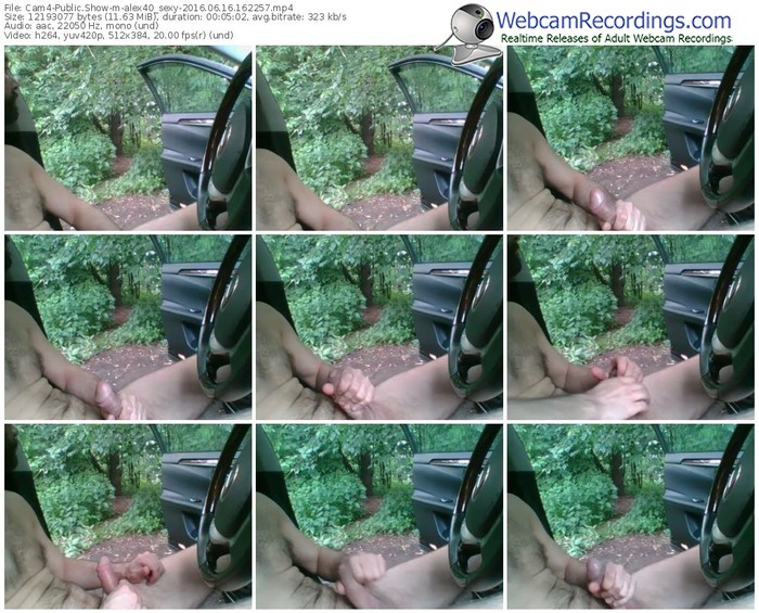 cam4-alex40_sexy-webcam-show-06_16_2016-16_22_57