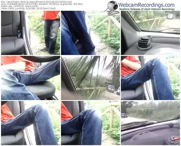cam4-alexio95cam4-webcam-show-06_20_2016-13_45_30