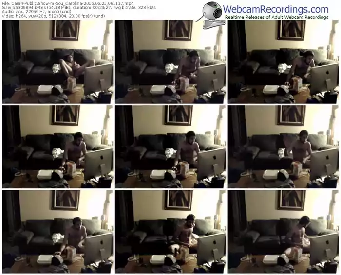 cam4-sou_carolina-webcam-show-06_21_2016-09_11_17