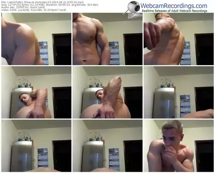 cam4-slonosexy23-webcam-show-06_21_2016-07_01_15