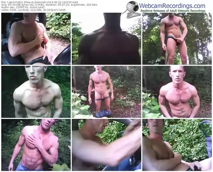 cam4-hommek-webcam-show-06_22_2016-15_21_53