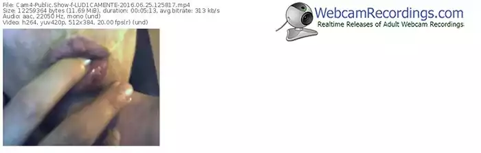 cam4-lud1camente-webcam-show-06_25_2016-12_58_17
