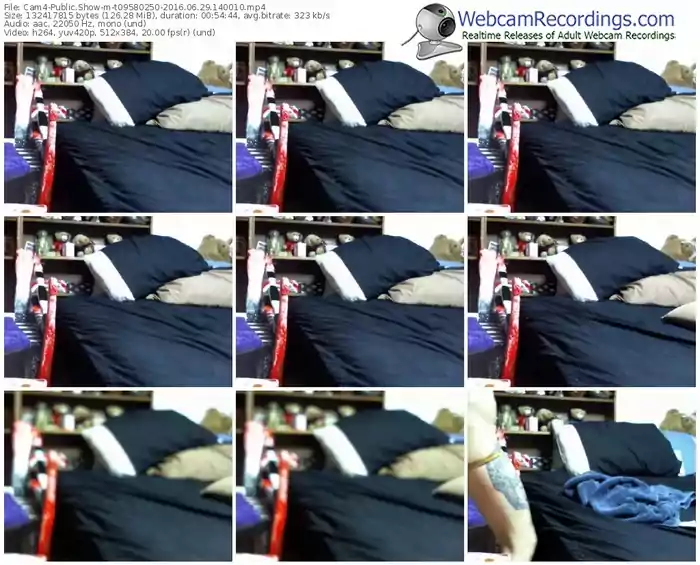 cam4-t09580250-webcam-show-06_29_2016-14_00_10