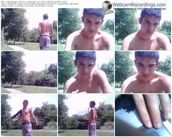 cam4-arti2325_xxx-webcam-show-06_30_2016-10_45_37