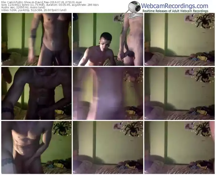 cam4-david_paw-webcam-show-07_01_2016-07_31_01