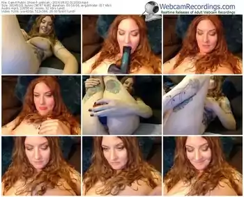 cam4-_pelican_-webcam-show-08_02_2016-01_20_33