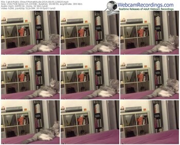 cam4-pornattitude-webcam-show-08_05_2016-12_00_20