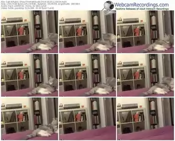 cam4-pornattitude-webcam-show-08_05_2016-12_00_20