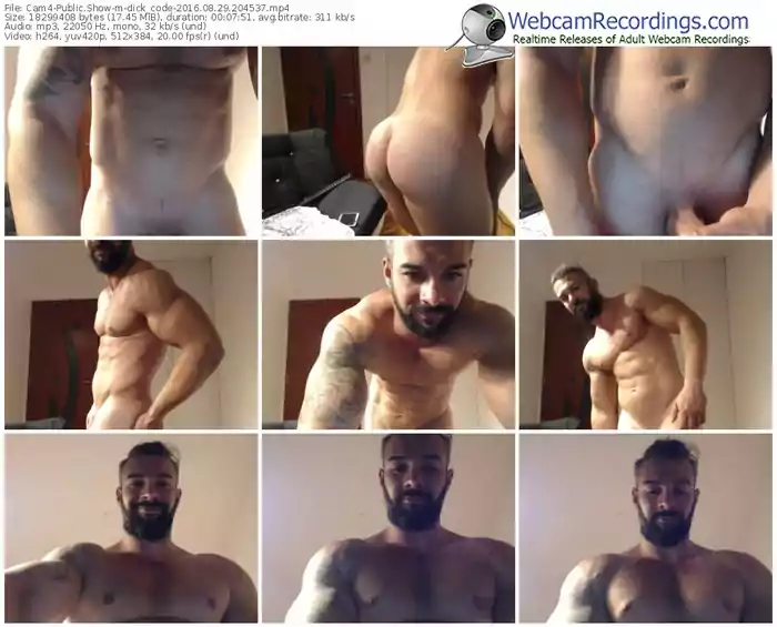 cam4-dick_code-webcam-show-08_29_2016-20_45_37