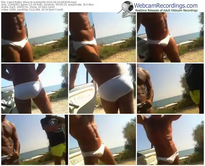 cam4-marte299-webcam-show-08_29_2016-08_30_35
