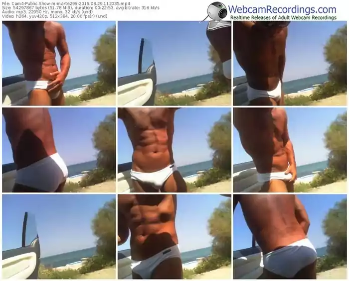 cam4-marte299-webcam-show-08_29_2016-11_20_35