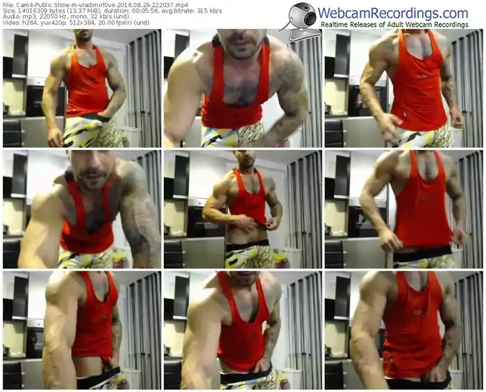 cam4-vladimirl0ve-webcam-show-08_29_2016-22_20_37
