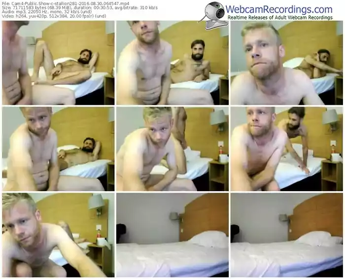 cam4-stallion281-webcam-show-08_30_2016-06_45_47