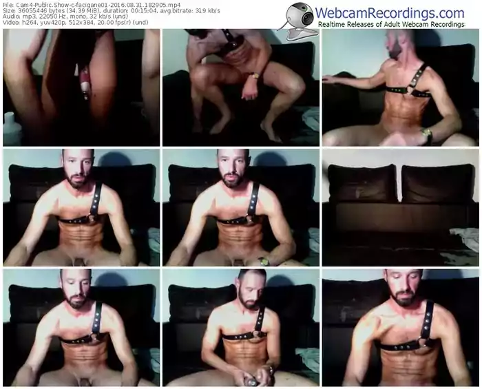 cam4-facigane01-webcam-show-08_31_2016-18_29_05