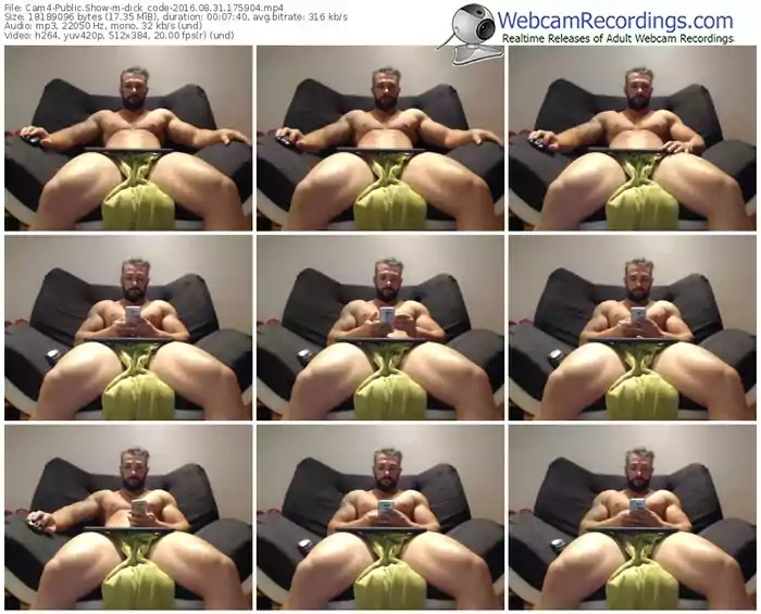 cam4-dick_code-webcam-show-08_31_2016-17_59_04