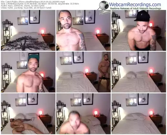 cam4-beefmonkeys-webcam-show-09_02_2016-18_39_55