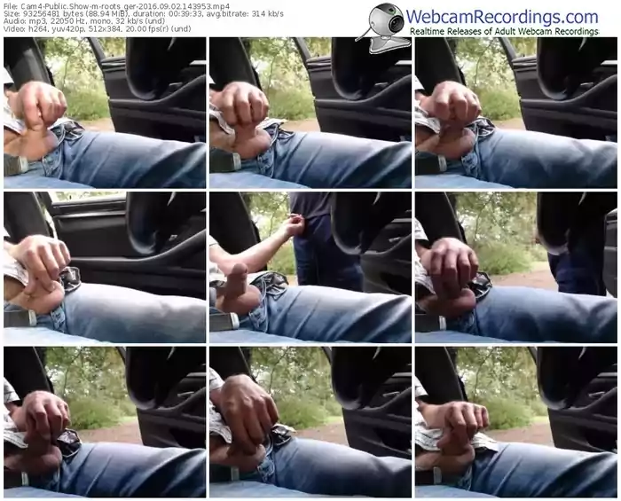 cam4-roots_ger-webcam-show-09_02_2016-14_39_53