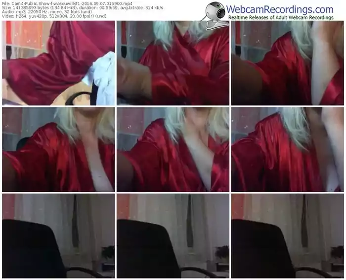 cam4-wasduwillst1-webcam-show-09_07_2016-01_59_00