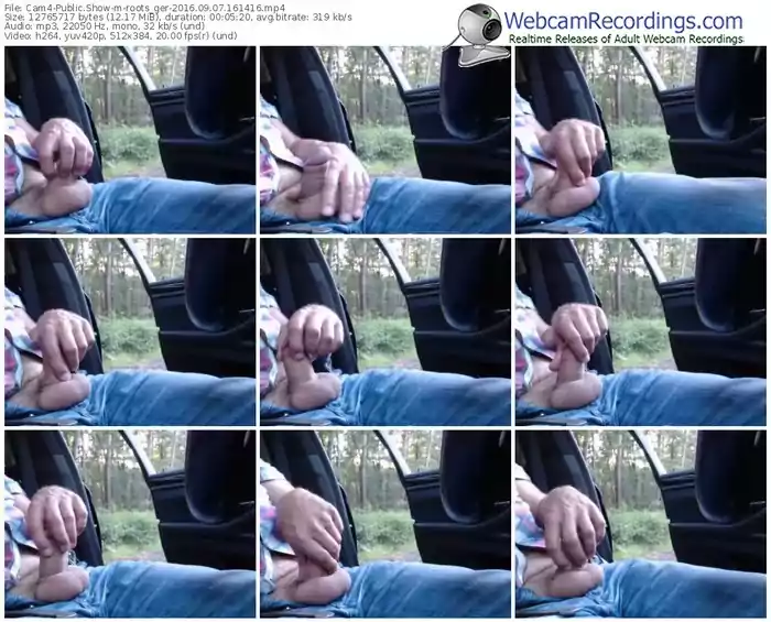 cam4-roots_ger-webcam-show-09_07_2016-16_14_16