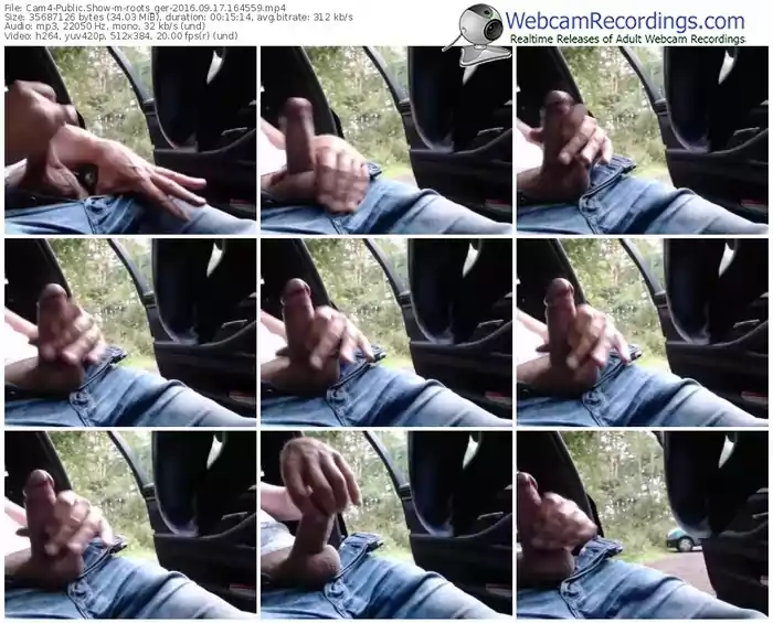 cam4-roots_ger-webcam-show-09_17_2016-16_45_59