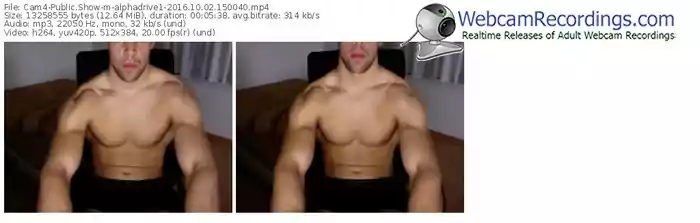 cam4-alphadrive1-webcam-show-10_02_2016-15_00_40