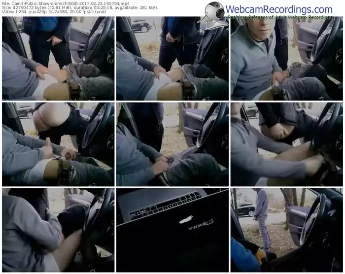 cam4-breizh35bb-webcam-show-02_23_2017-16_57_04