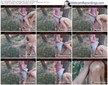 cam4-asus10-webcam-show-06_25_2017-15_34_53