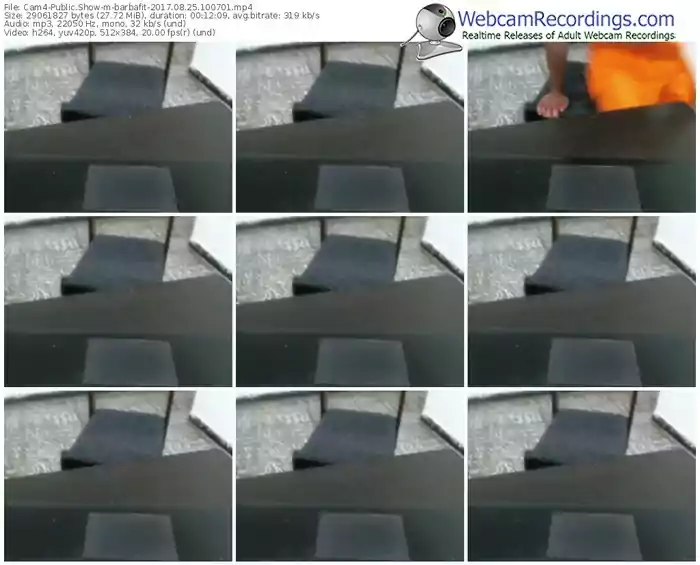 cam4-barbafit-webcam-show-08_25_2017-10_07_01