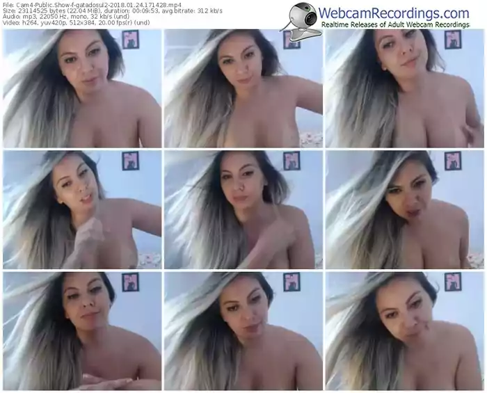 cam4-gatadosul2-webcam-show-01_24_2018-17_14_28