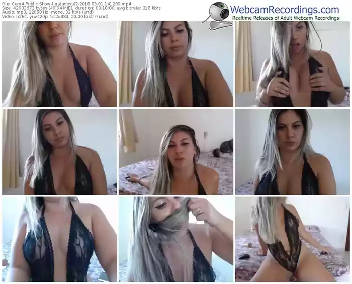 cam4-gatadosul2-webcam-show-03_01_2018-14_12_00