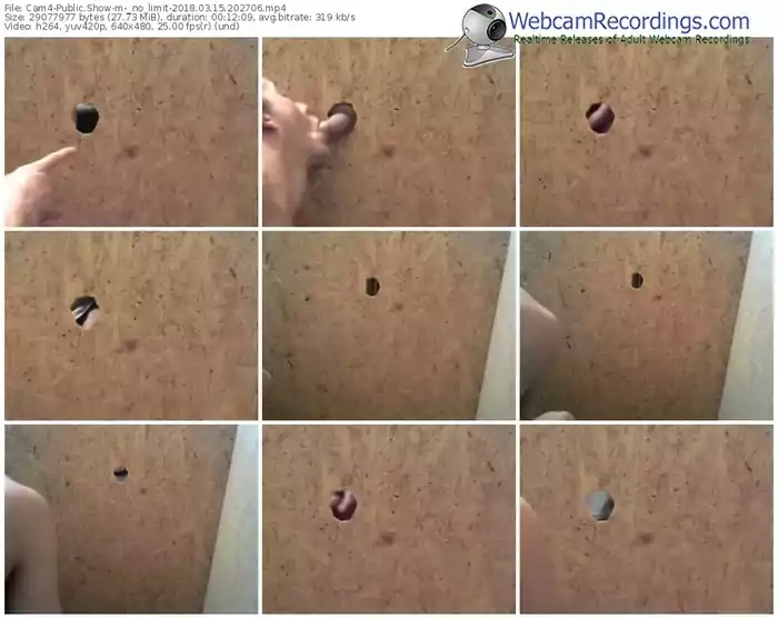 cam4-_no_limit-webcam-show-03_15_2018-20_27_06