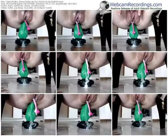 cam4-kittycat_fun-webcam-show-04_09_2018-09_46_00