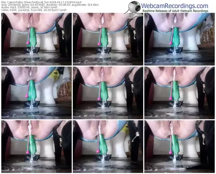 cam4-kittycat_fun-webcam-show-04_17_2018-15_18_59
