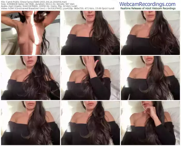 cam4-priscilla90-04_14_2021-19_33_56