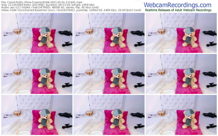 cam4-isamar0188-05_01_2021-21_10_41