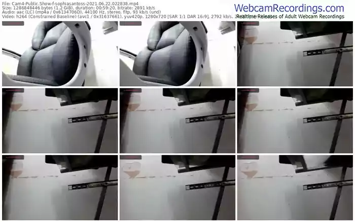 cam4-sophiasantoss-06_22_2021-02_28_38