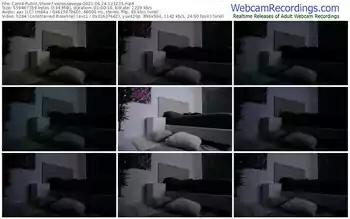 cam4-vanessavega-06_24_2021-12_12_35