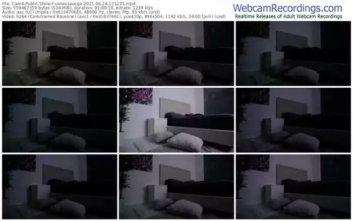 cam4-vanessavega-06_24_2021-12_12_35