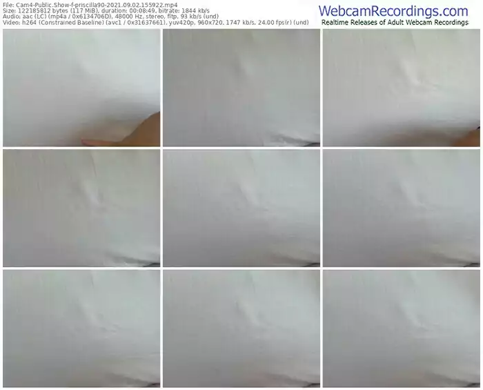 cam4-priscilla90-09_02_2021-15_59_22