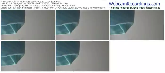 cam4-cute_stefy-11_02_2021-14_22_16
