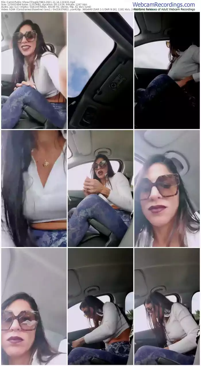 cam4-fragile7883-11_14_2021-13_19_33