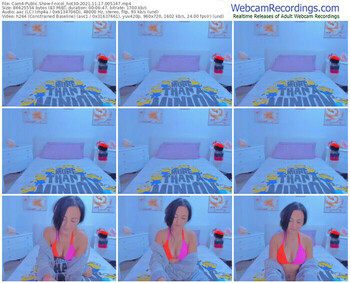 cam4-nicol_hot30-11_17_2021-00_51_47
