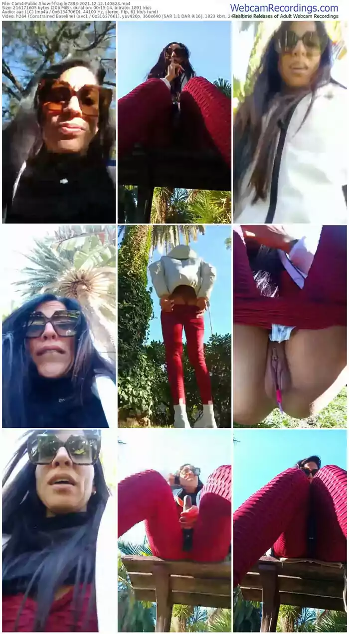 cam4-fragile7883-12_12_2021-14_08_23