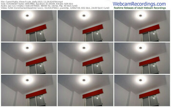 cam4-cute_stefy-12_29_2021-02_47_04